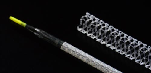 The Amaranth MAGNITUDE ® stent as featured on the website: http://amaranthmedical.com/magnitude