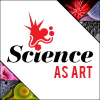 Science as Art Spring 2020