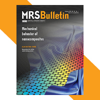 January 2019 MRS Bulletin