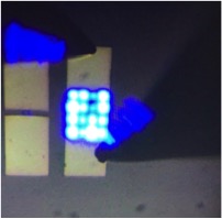 Fitzgerald LED array on silicon
