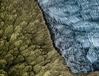 False color SEM image of warring CaCO3 polymorphs showing the transformation of vaterite (left) to the more stable calcite (right) on the surface of a hierarchical mineral tube grown from a gel-liquid interface.