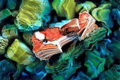 The Mxene Nemo: Science as Art