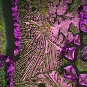 Kaleidoscopic Crystalline Perovskite