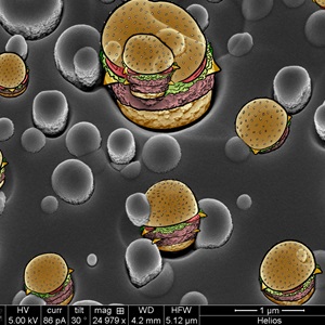 Lab-Grown Beef: Burger Nucleation and Growth