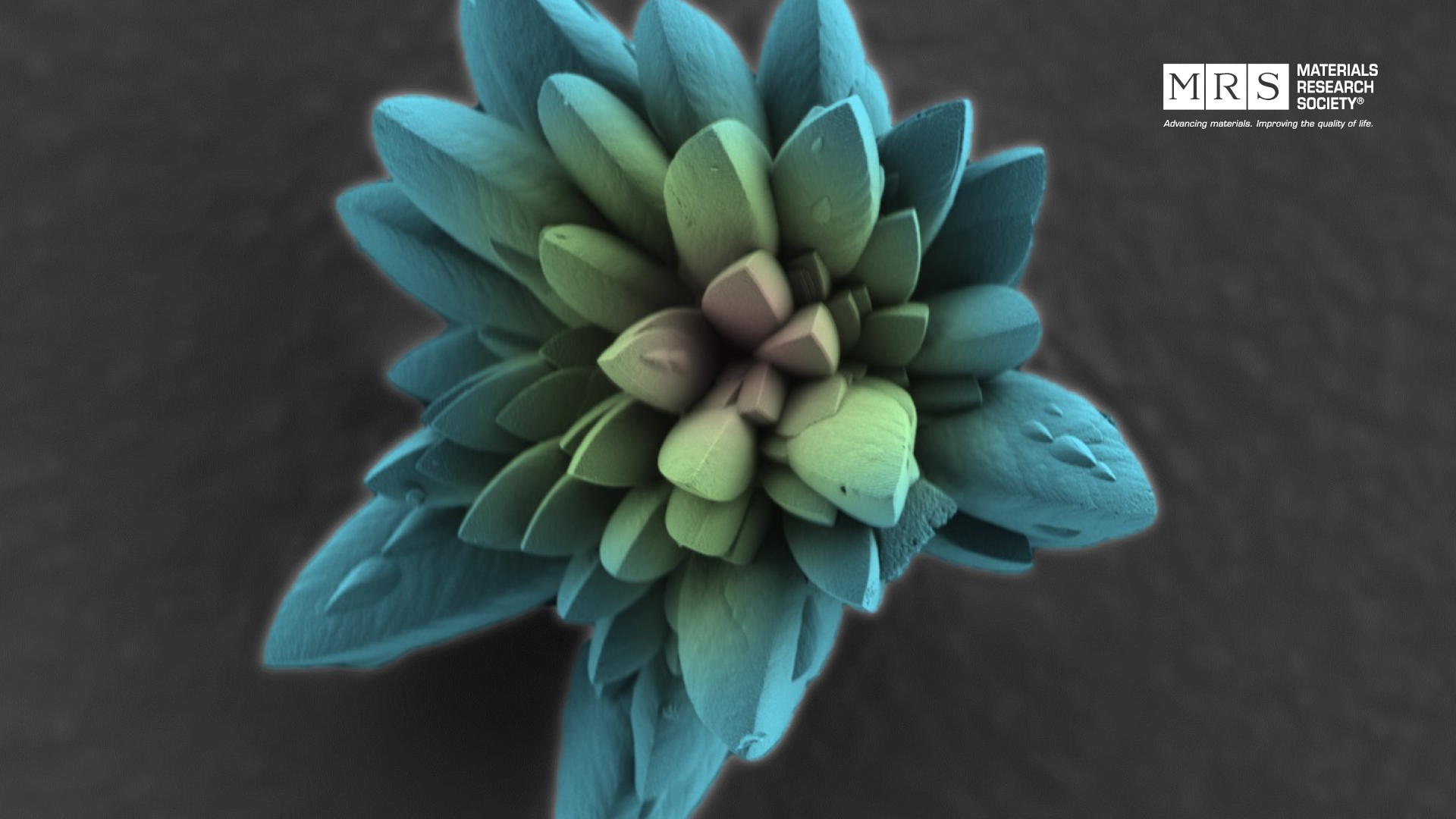 Science as Art  - Calcite Flower
