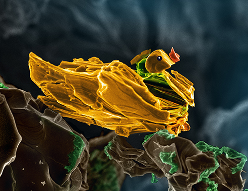 Kanit Hantanasirisakul, Drexel University. This Nano-duck is a Cr2TiAlC2 MAX particle. The size of the duck is ~3 µm. The rocks where it's sitting on are also MAX particles covered with "nano-moss". 